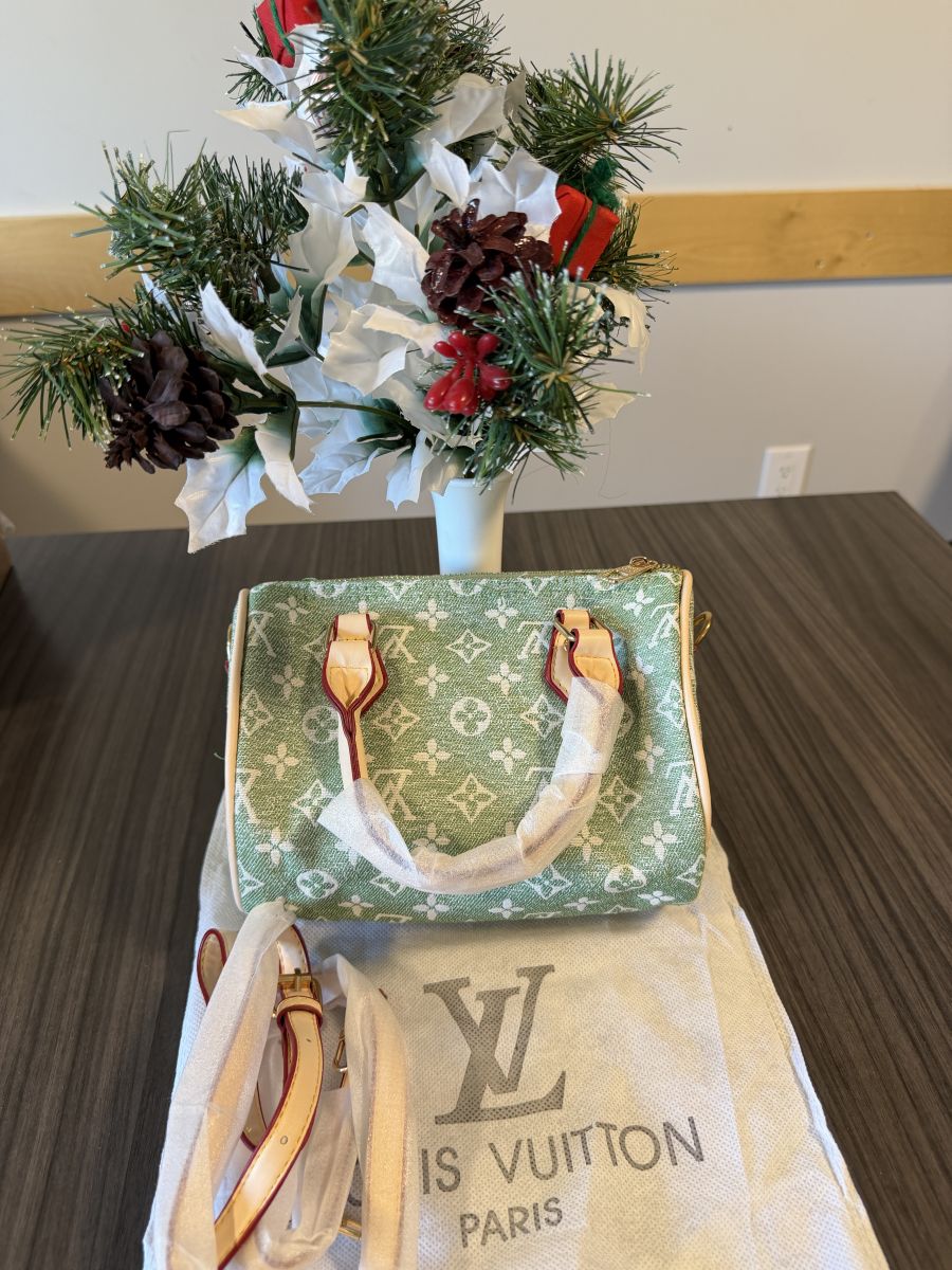 Louis Vuitton speedy